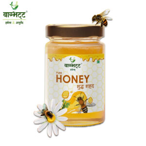 Honey 700 gm